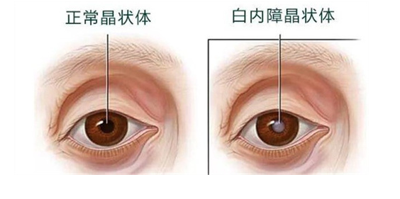 圖片1.png
